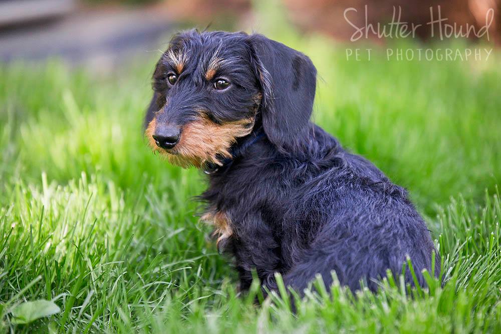 18076931_1405447762883167_3275585232182192168_o