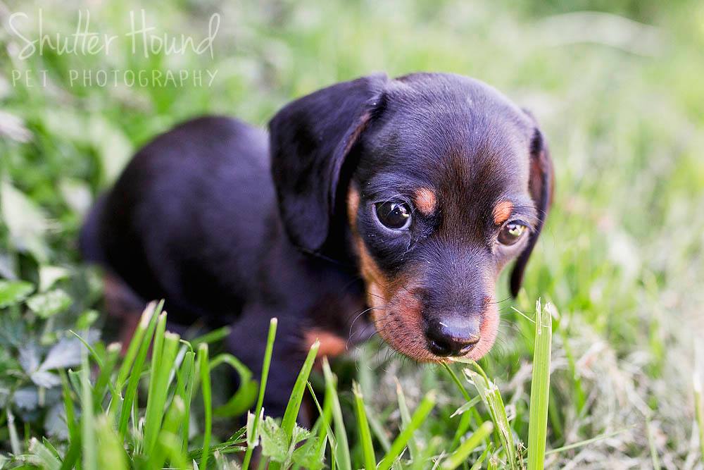 18121205_1405449889549621_3248394031677440862_o