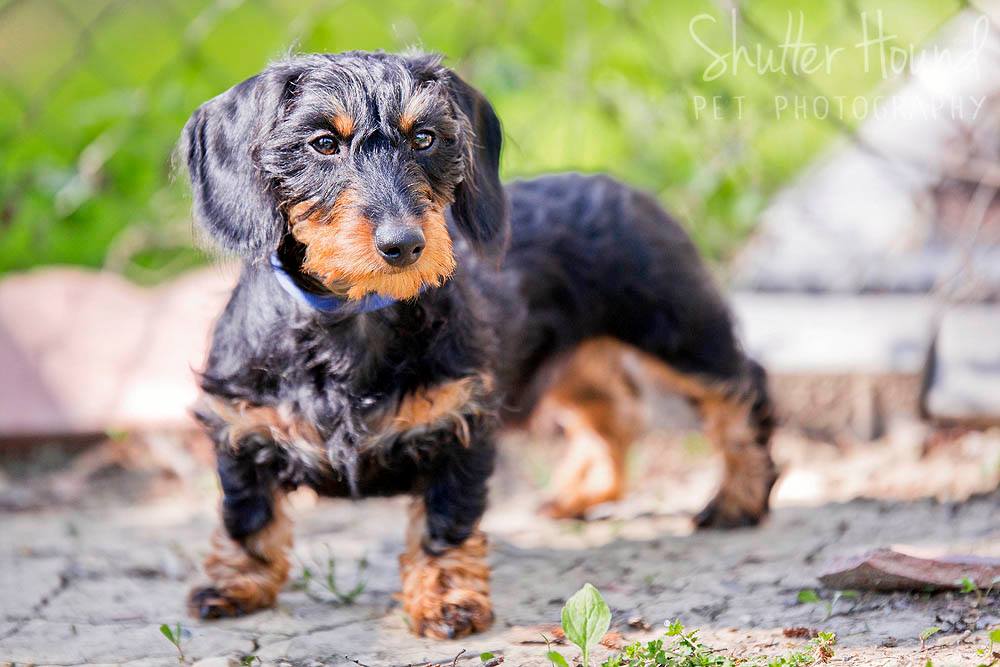 18121284_1405447772883166_8964035302185656761_o