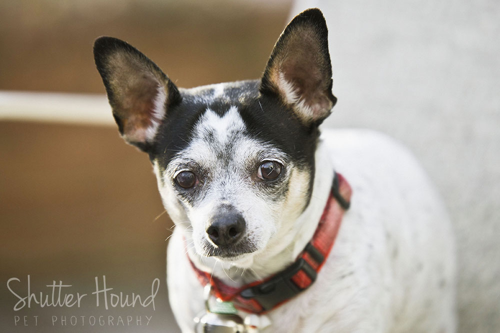 Gross_HeightsLife_002