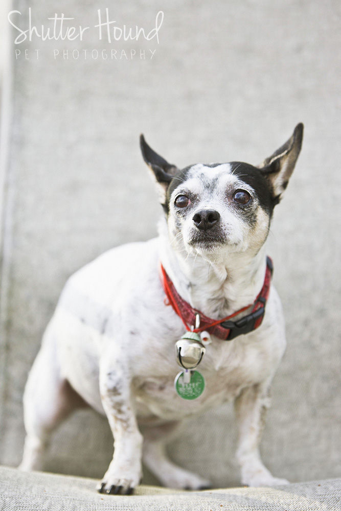 Gross_HeightsLife_007