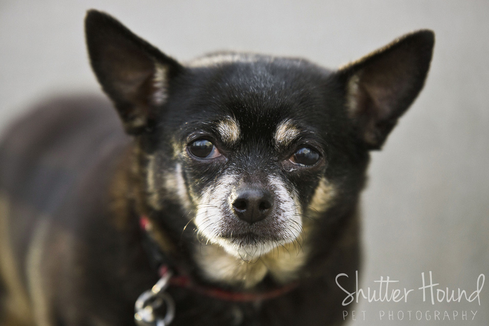 Gross_HeightsLife_021