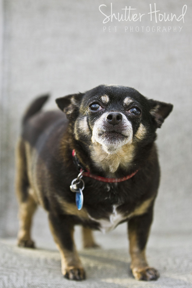 Gross_HeightsLife_022