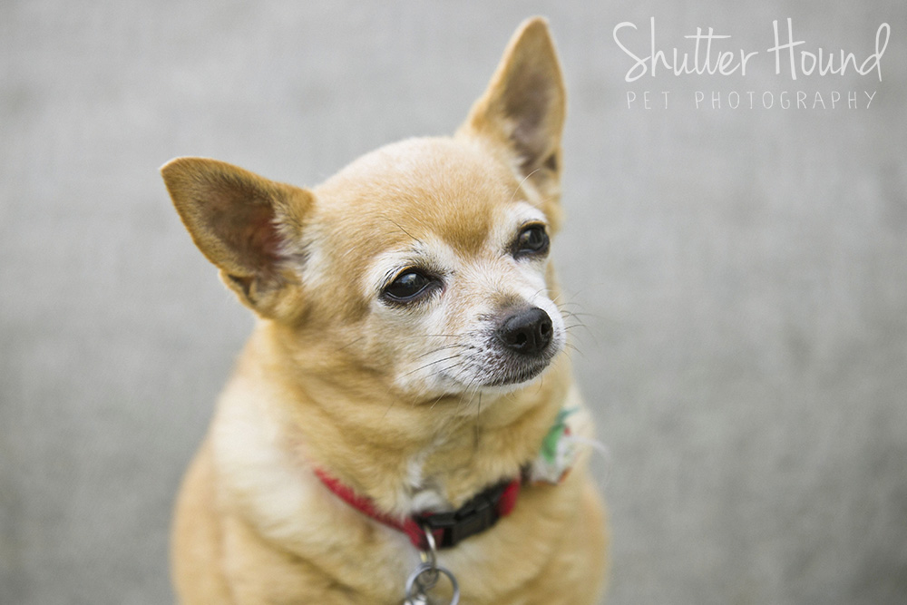 Gross_HeightsLife_037