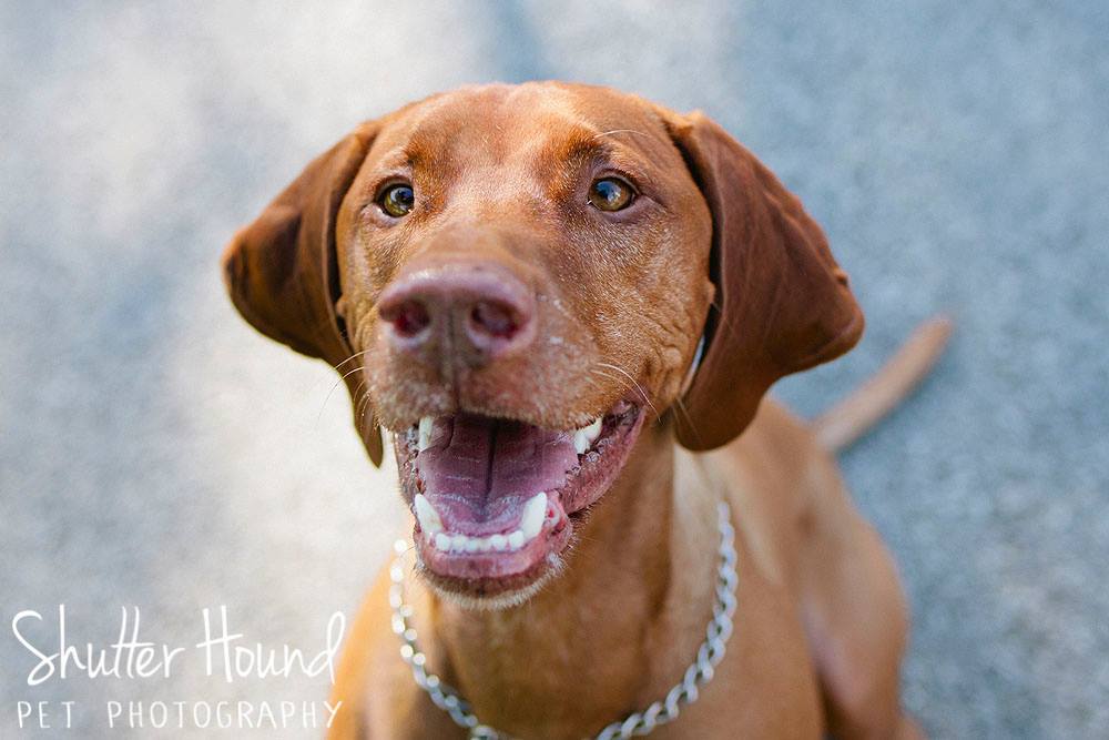 18768494_1441763805918229_4513960889678072407_o