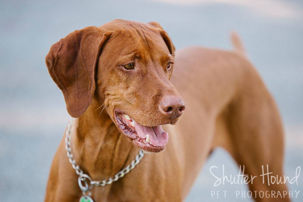 18815290_1441763849251558_3832944646721127510_o