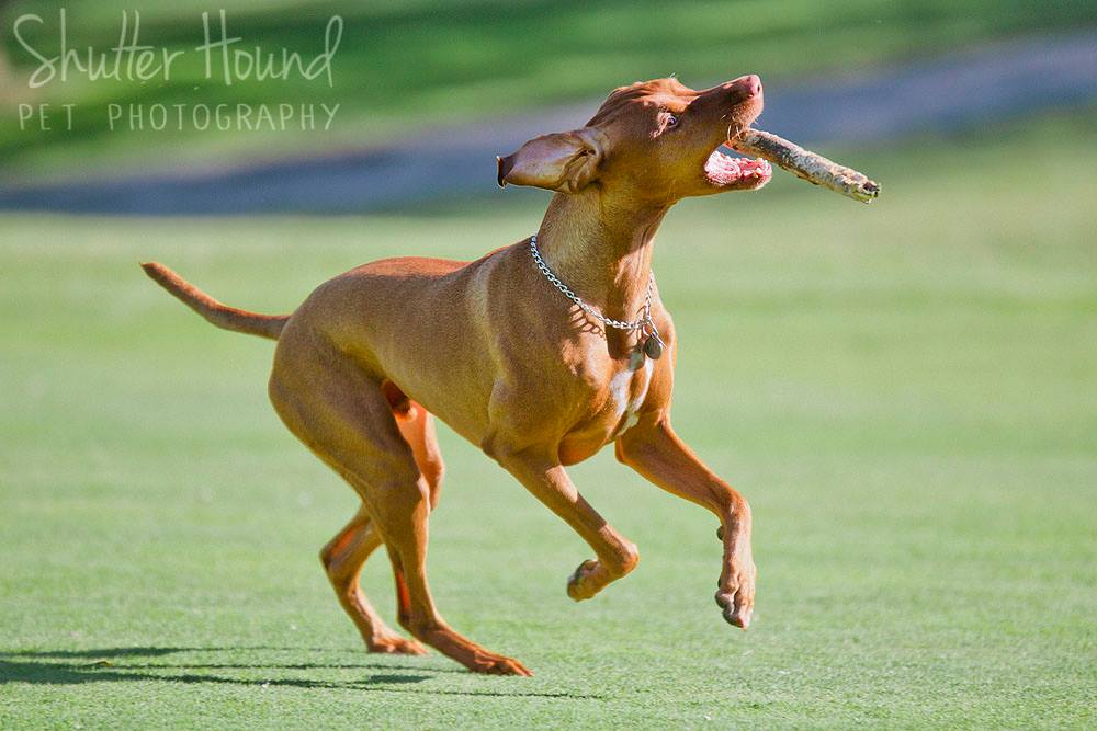 18880085_1441763815918228_3260371097044376351_o