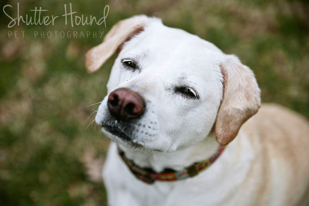 Zoe_Leuba_HeightsLife_06