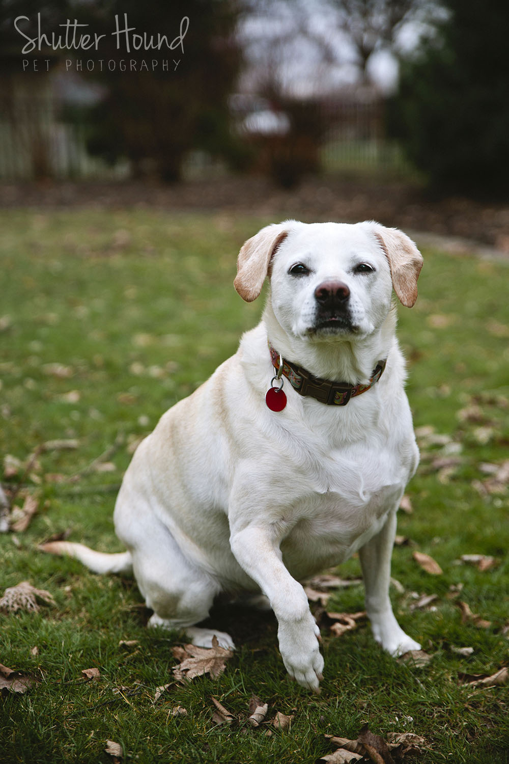 Zoe_Leuba_HeightsLife_14