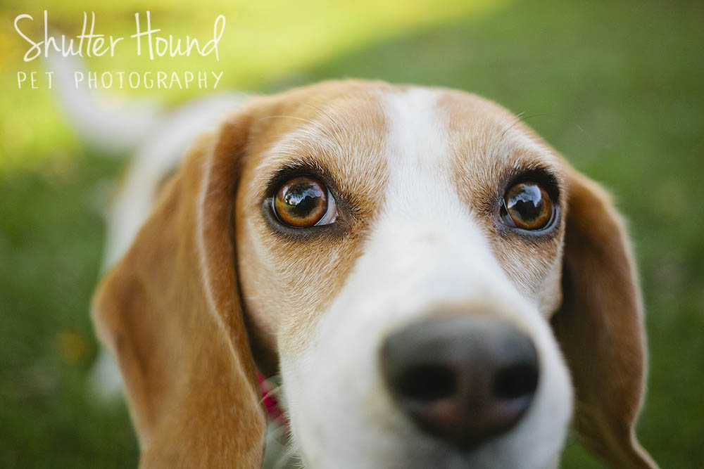 Maggie_Charlotte_2017_014_WEB