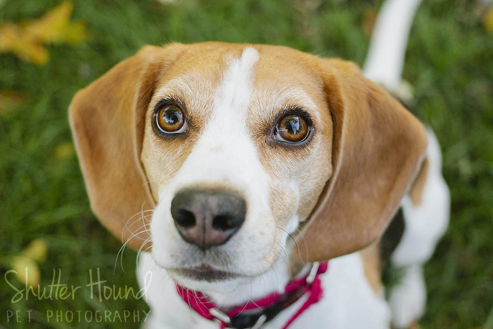 Maggie_Charlotte_2017_034_WEB