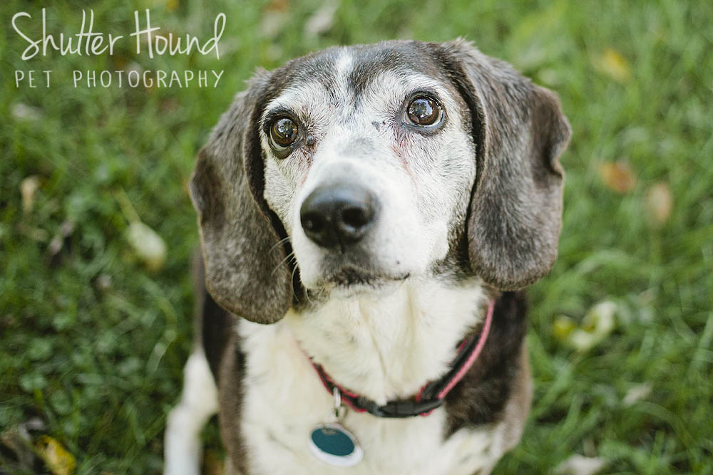 Maggie_Charlotte_2017_040_WEB