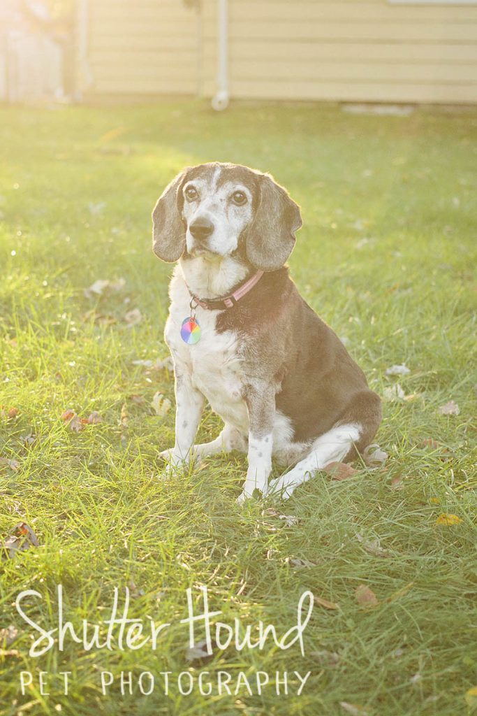 Maggie_Charlotte_2017_078_WEB