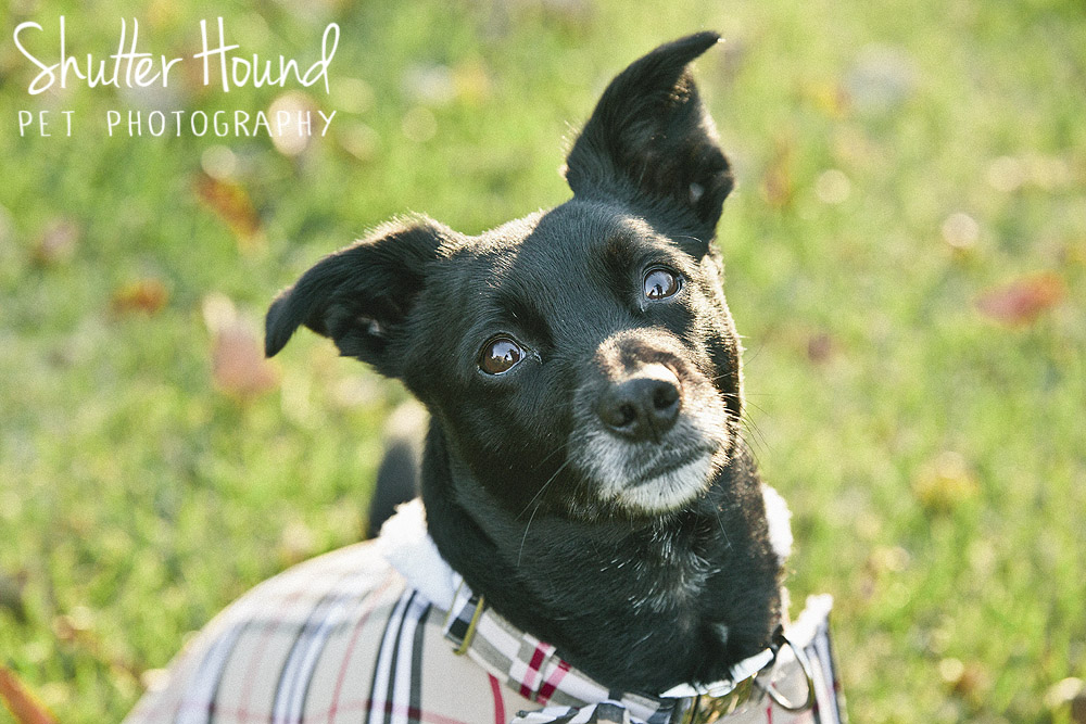 Long_Christmas_2017_014