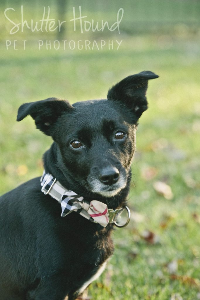 Long_Christmas_2017_022