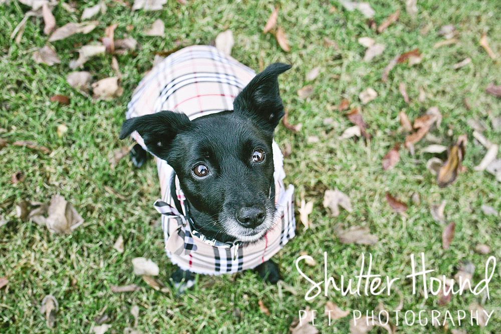 Long_Christmas_2017_104