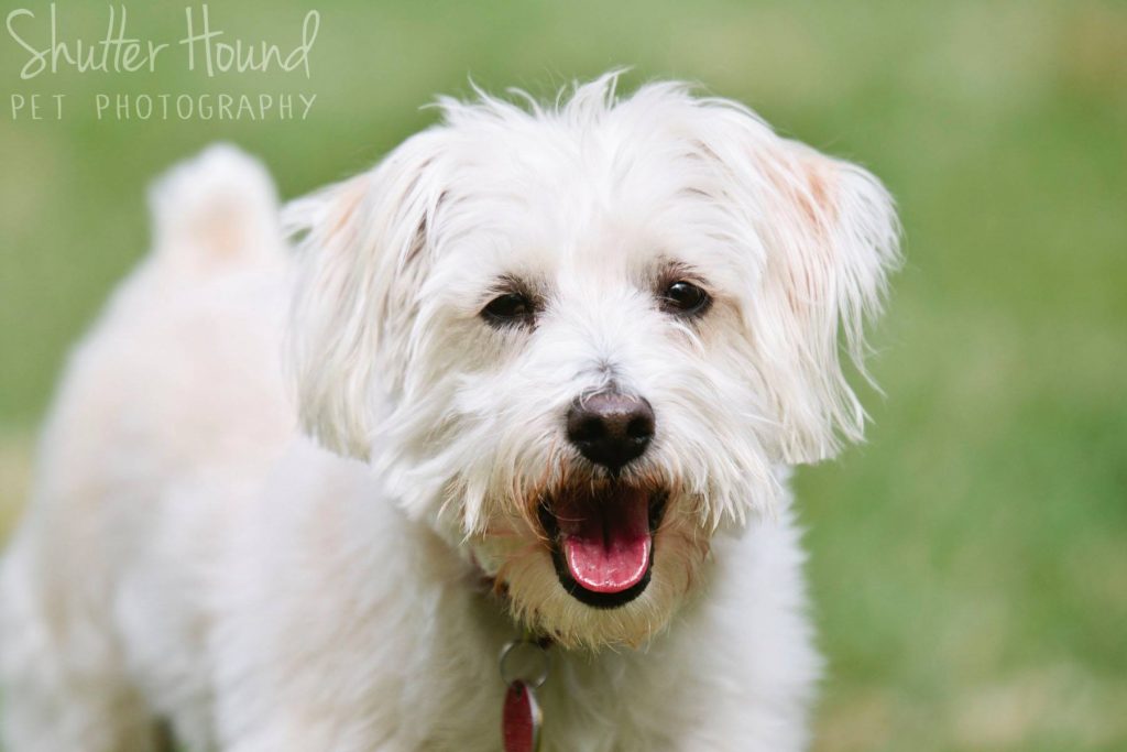 30420459_1780580805369859_152964932247126803_o