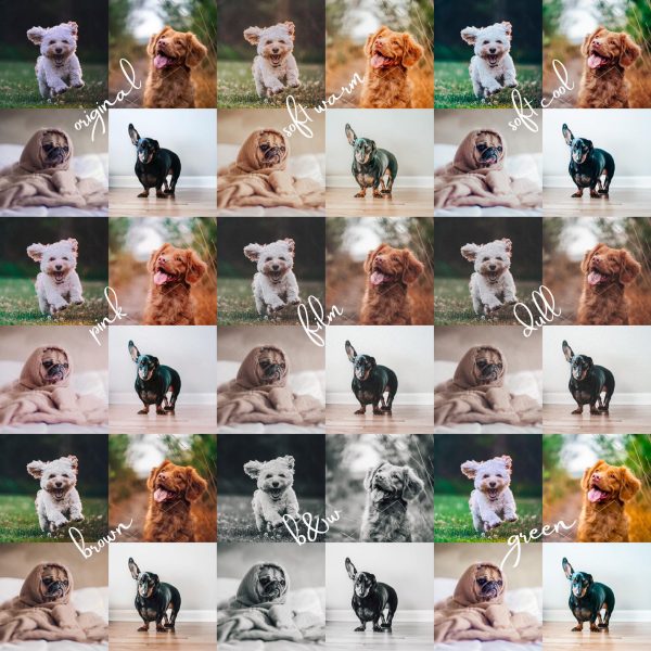 8 Lightroom Mobile Presets - Pets