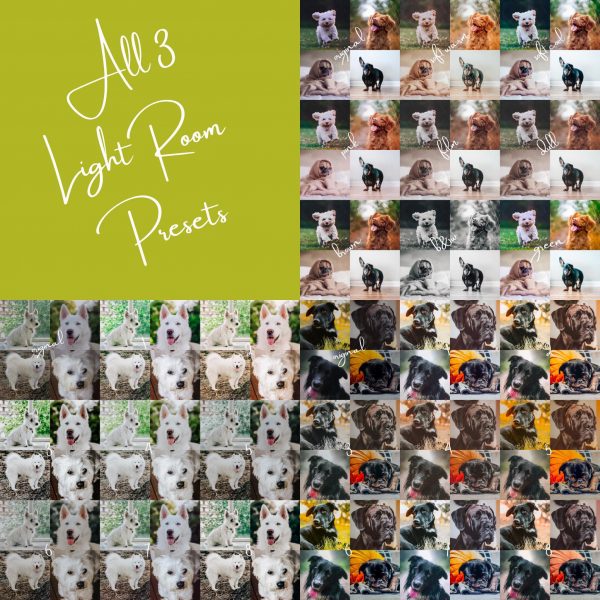 BUNDLE of Original, White, + Black Pet Lightroom Presets