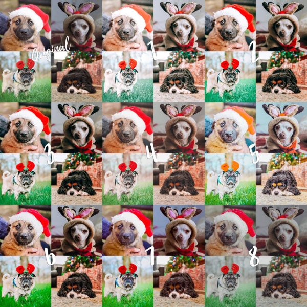 8 Lightroom Mobile Presets - Holidays