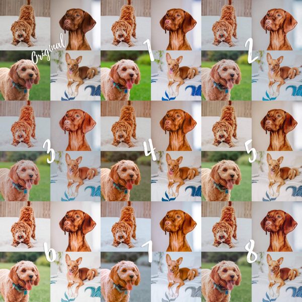 8 Lightroom Mobile Presets - Red Pets