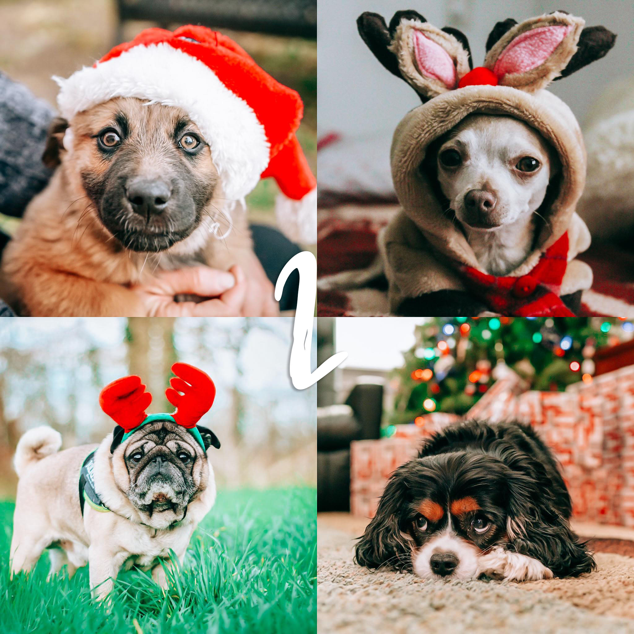 8 Lightroom Mobile Presets - Holidays - Image 9