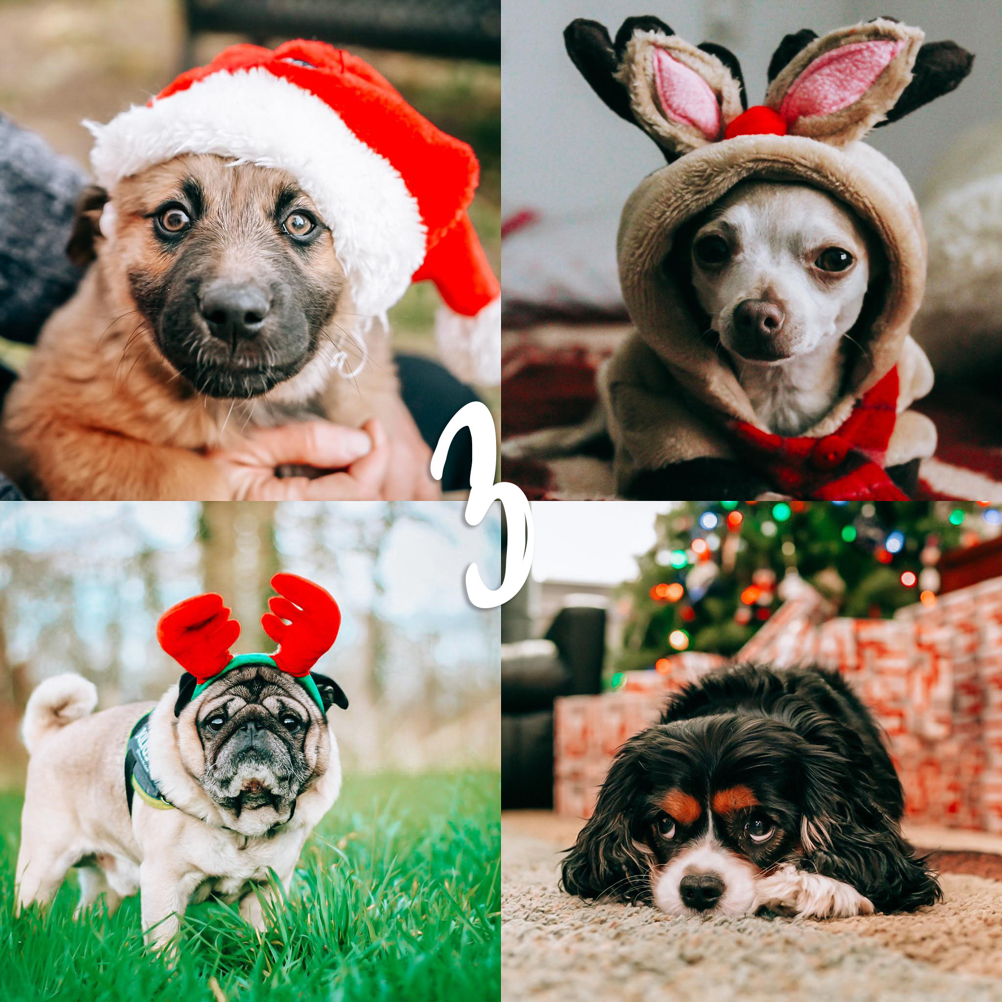 8 Lightroom Mobile Presets - Holidays - Image 8