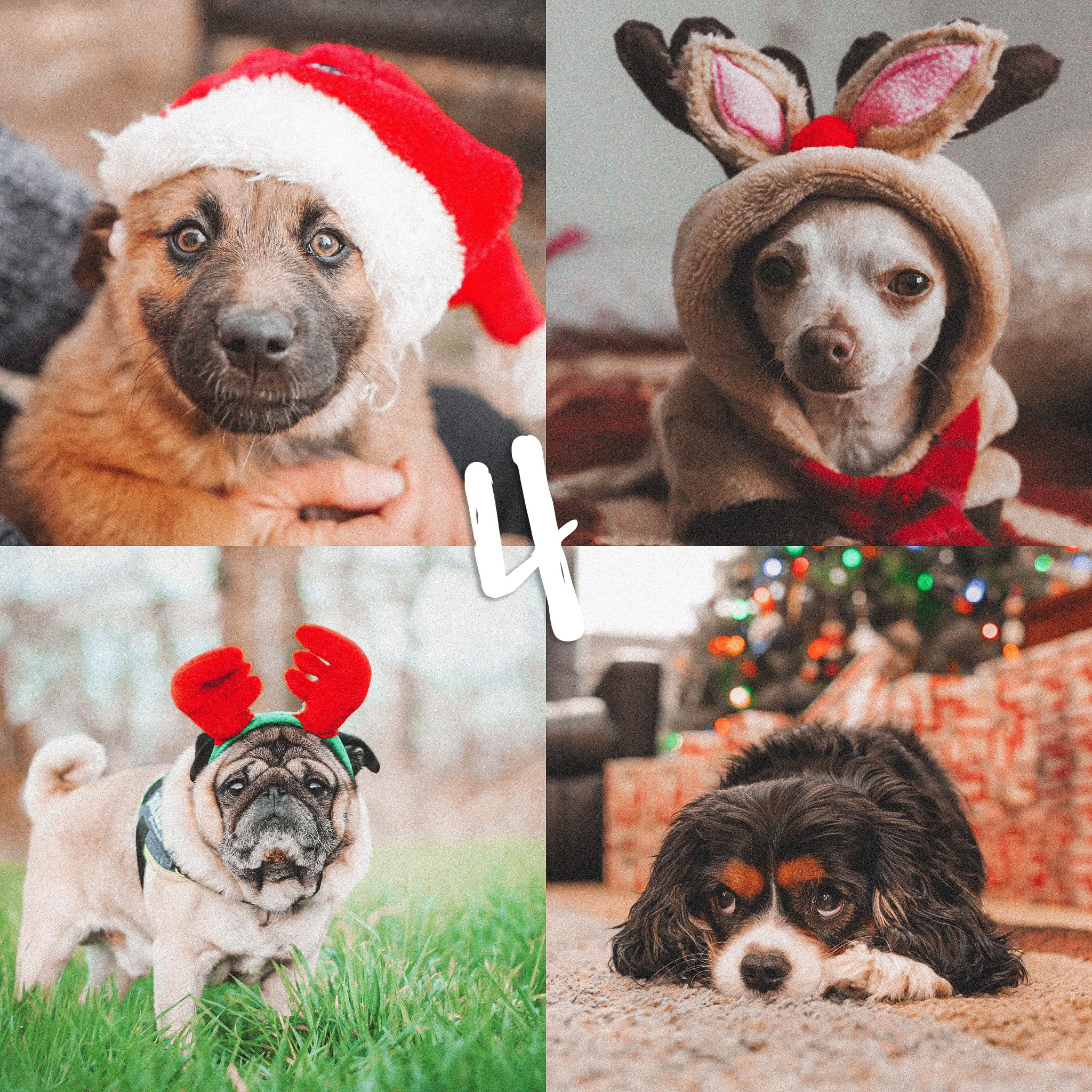 8 Lightroom Mobile Presets - Holidays - Image 7