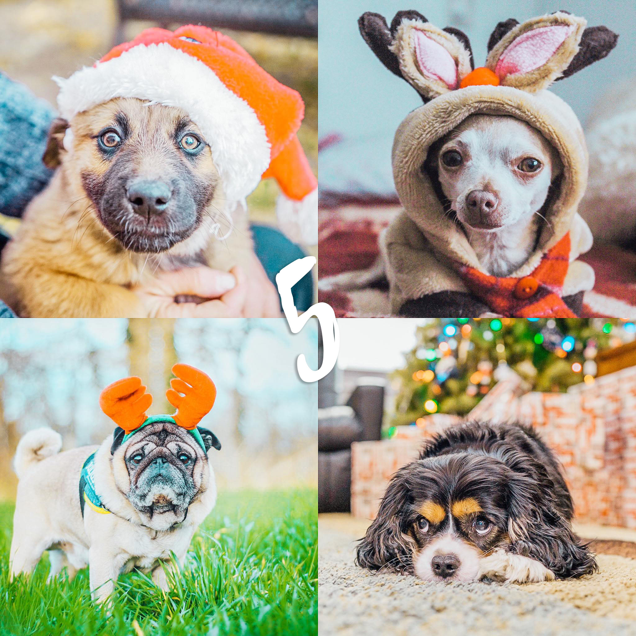 8 Lightroom Mobile Presets - Holidays - Image 6