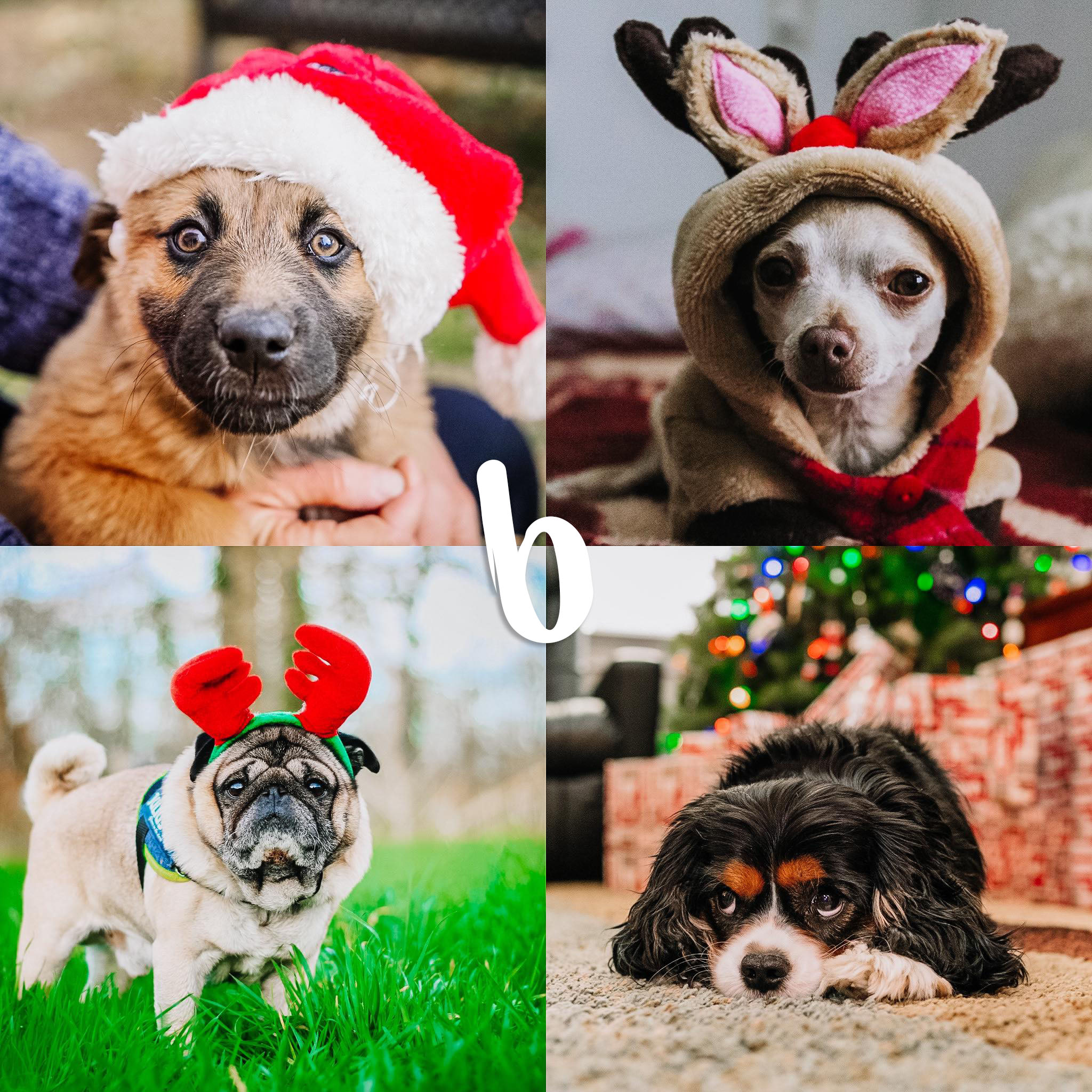 8 Lightroom Mobile Presets - Holidays - Image 5