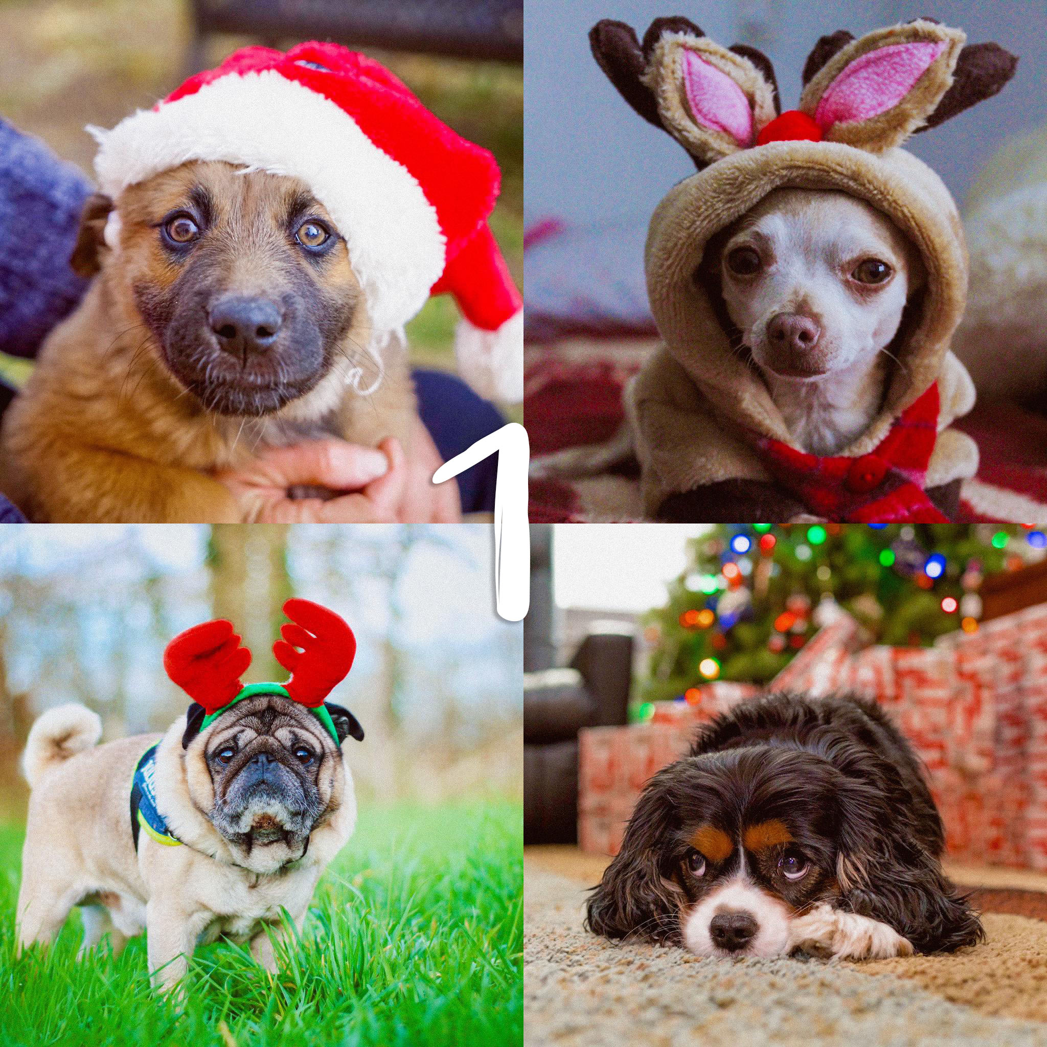 8 Lightroom Mobile Presets - Holidays - Image 4