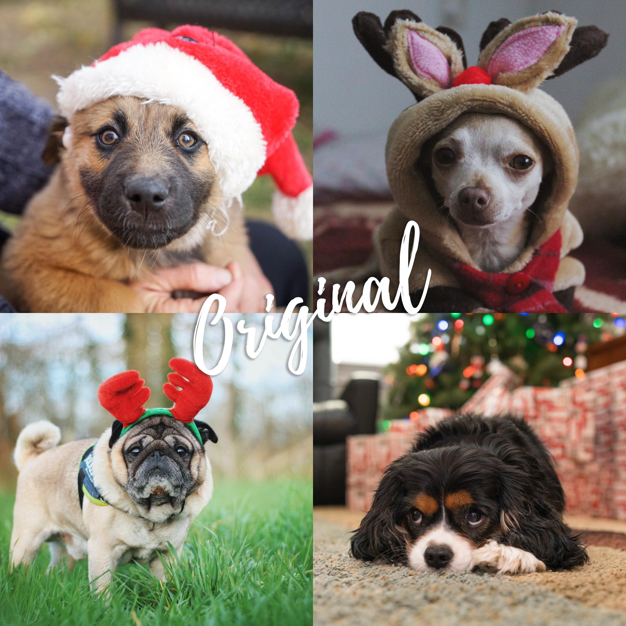 8 Lightroom Mobile Presets - Holidays - Image 2