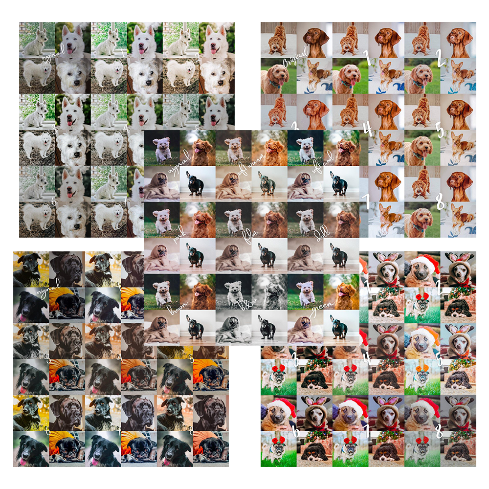 BUNDLE of ALL Pet Lightroom Presets