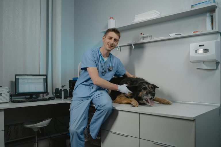 Veterinary Appreciation Day: Honoring the People Who Care for the Ones We Love Most