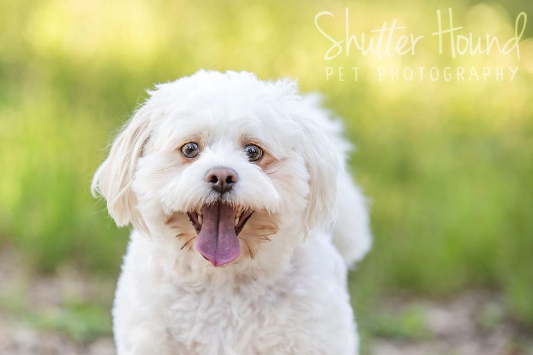 Winnie | Mini Session